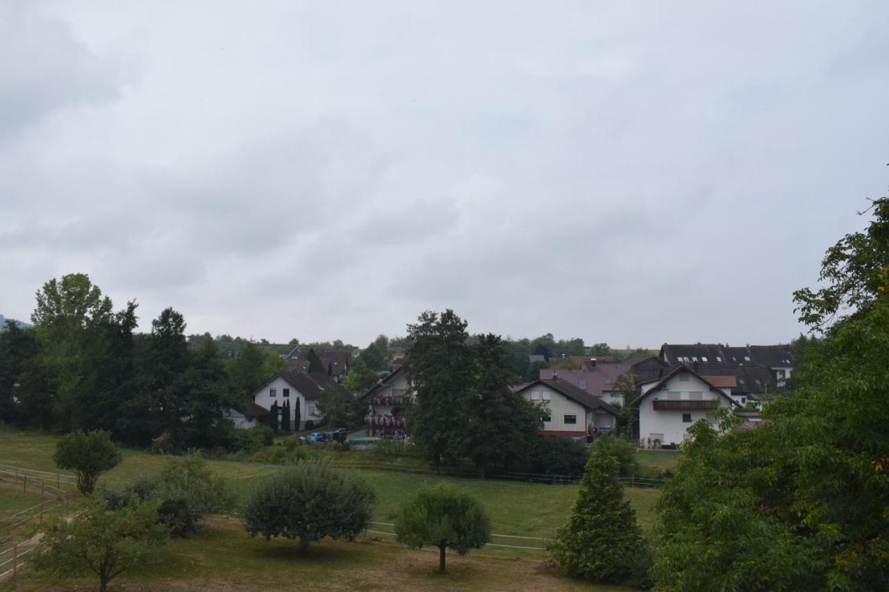 Apartament Sauers Schwarzwaldglueck Appenweier Zewnętrze zdjęcie